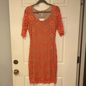 NWT lace dress.